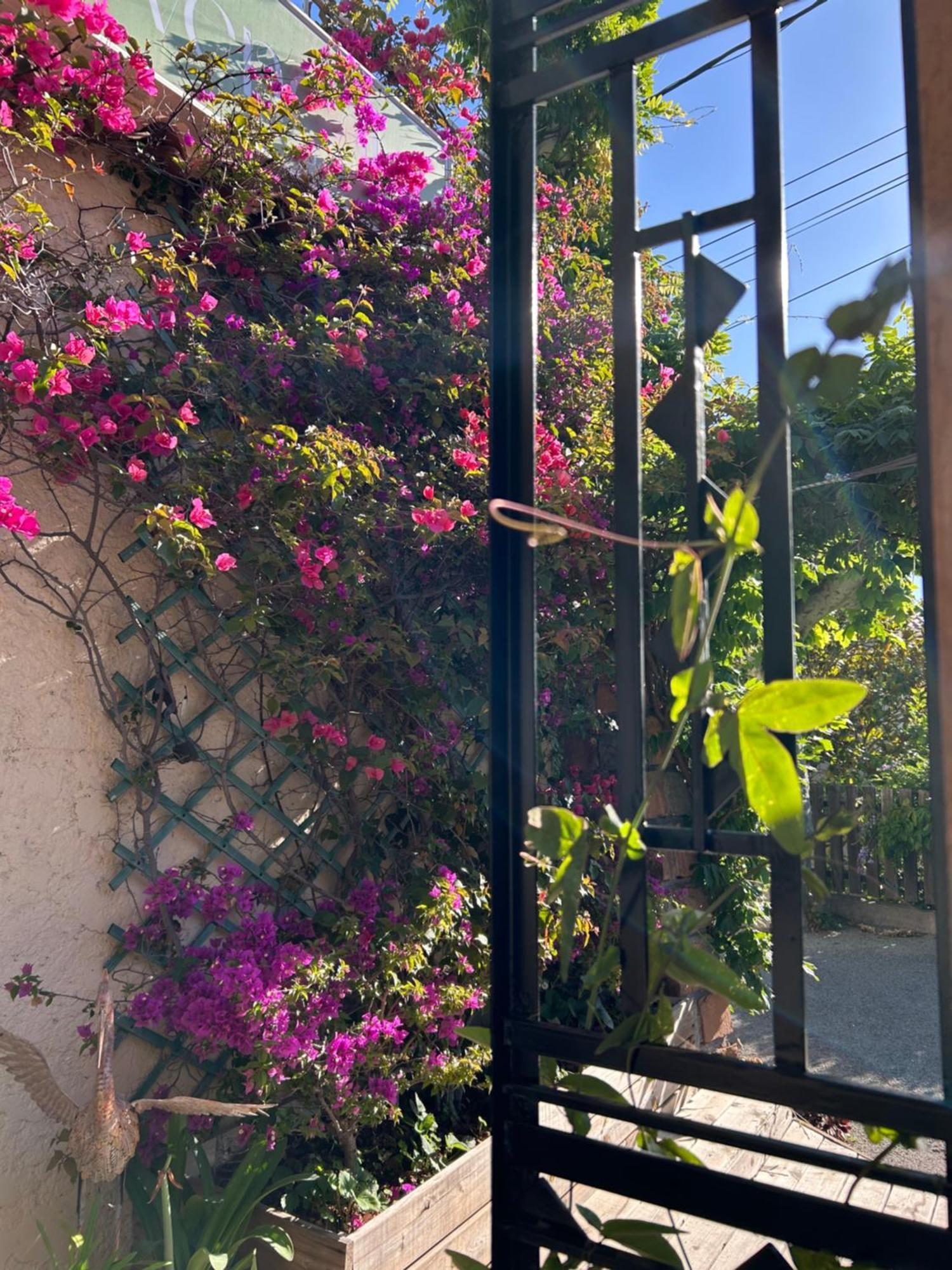 Hotel Auberge Provencale Saint-Raphaël Εξωτερικό φωτογραφία