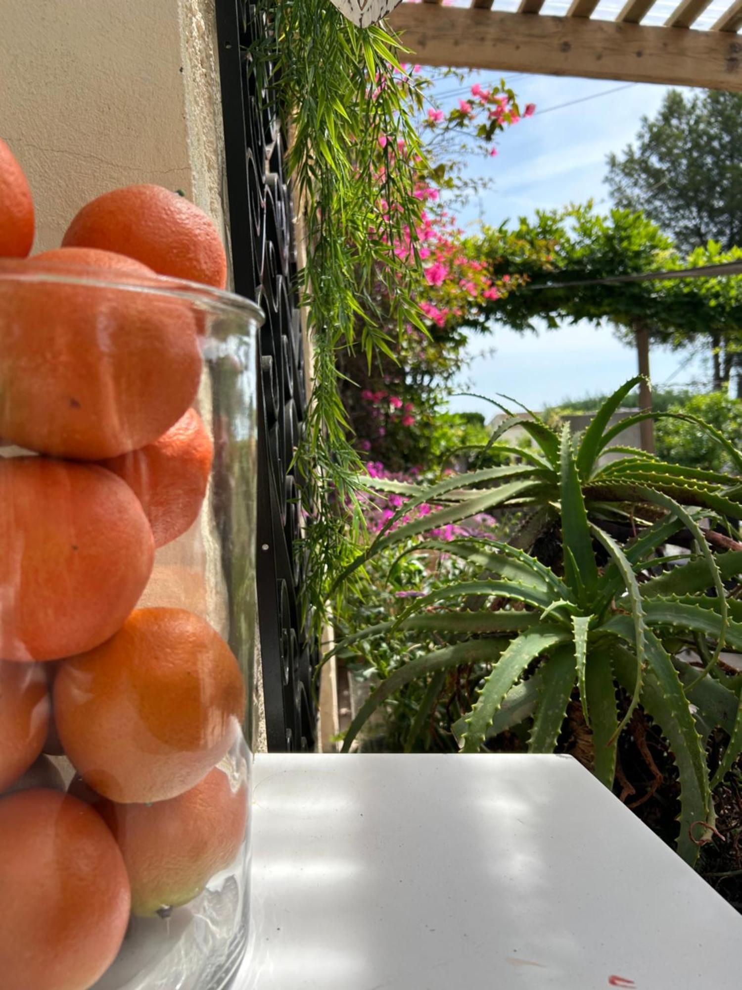 Hotel Auberge Provencale Saint-Raphaël Εξωτερικό φωτογραφία