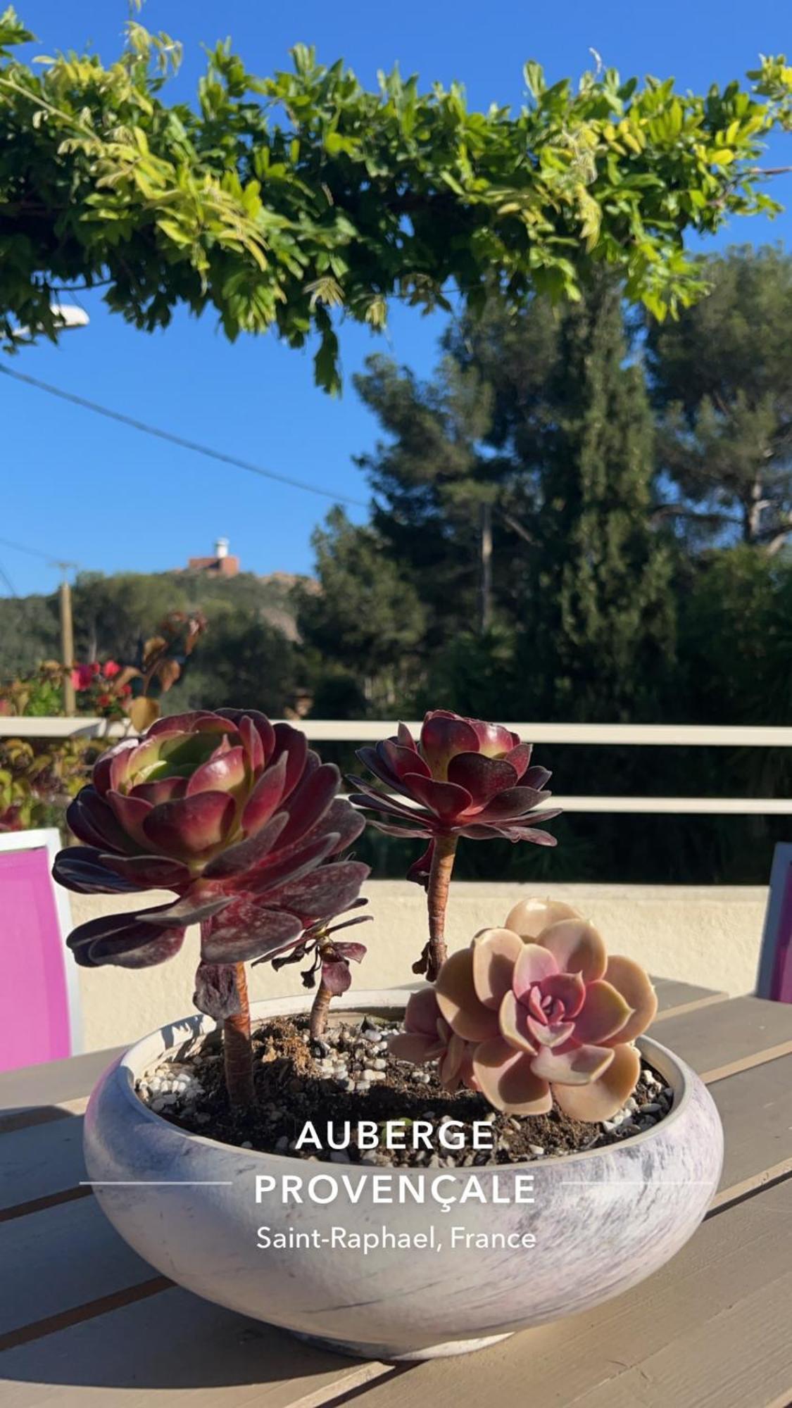 Hotel Auberge Provencale Saint-Raphaël Εξωτερικό φωτογραφία