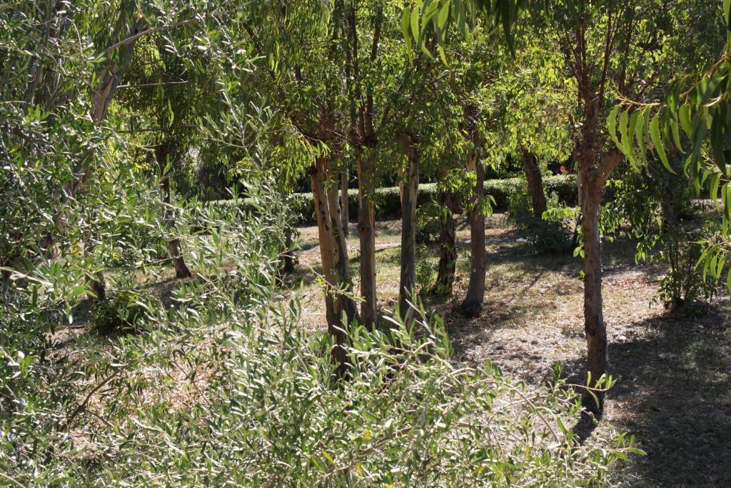 Hotel Auberge Provencale Saint-Raphaël Εξωτερικό φωτογραφία